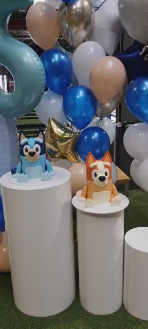 Bluey Bingo Themed Balloon Garland and Bouquets Personalised Numbers Cake Plinths